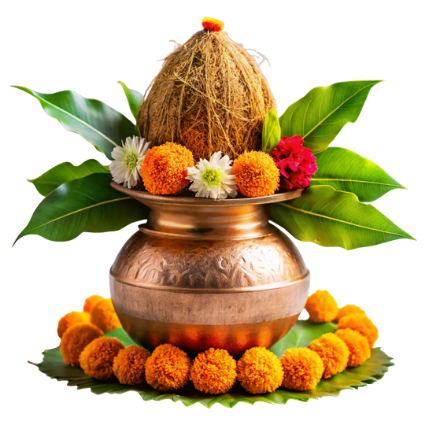 Astrology Consultation